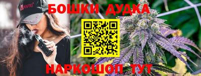стафф Новодвинск