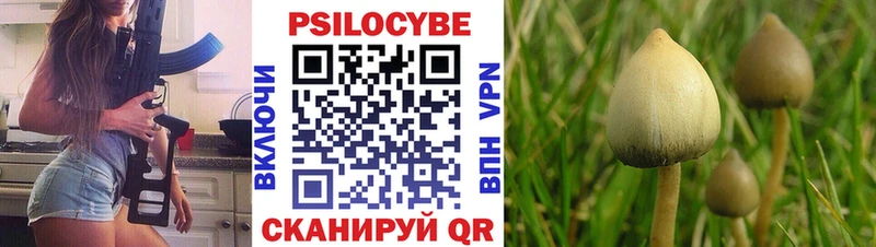 Галлюциногенные грибы мицелий  Алатырь 