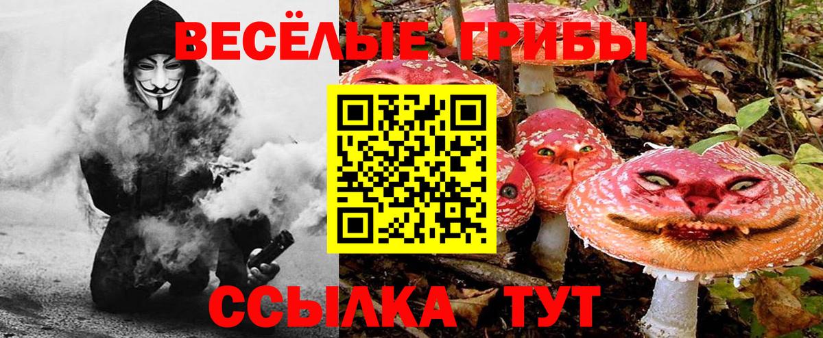 Алатырь  Псилоцибиновые грибы мухоморы  Вход с VPN 